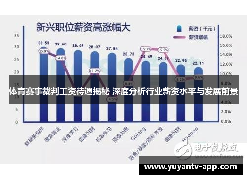 体育赛事裁判工资待遇揭秘 深度分析行业薪资水平与发展前景